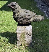 Fugl