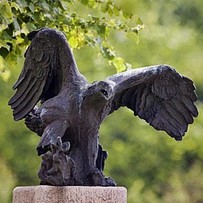 Ørn