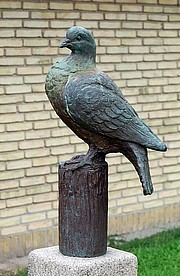 Bronzeduer